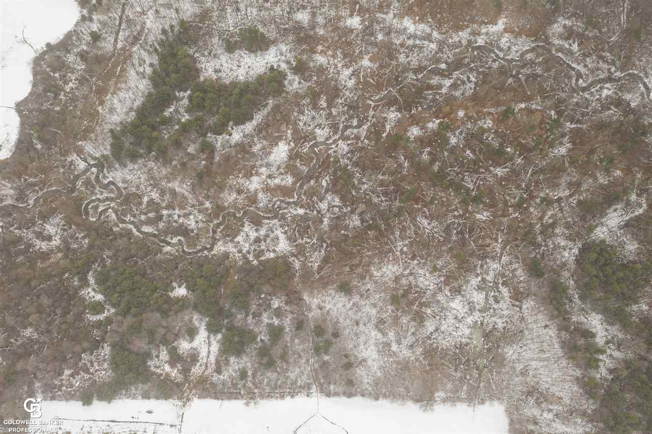 0 Rattle Run St. Clair, MI 48079 - Photo 13 of 23 160 Acres-Small Stream