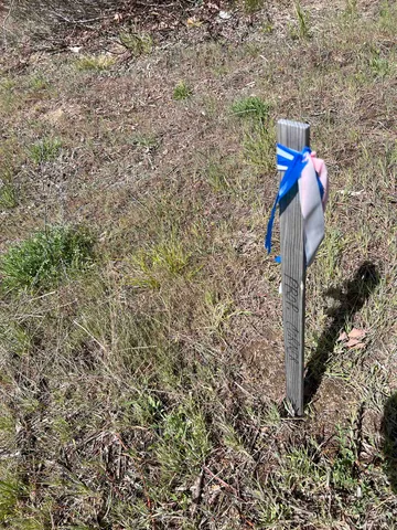 $255,000 | 2 Hwy Newport Wa 99156 Highway, Newport, WA 99156