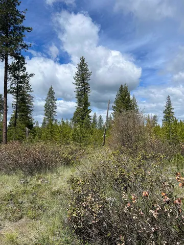 $255,000 | 2 Hwy Newport Wa 99156 Highway, Newport, WA 99156