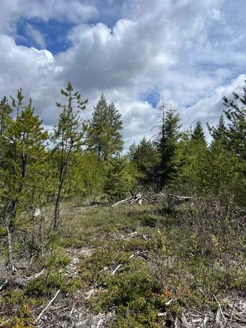 $255,000 | 2 Hwy Newport Wa 99156 Highway, Newport, WA 99156