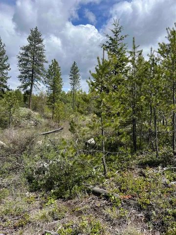 $255,000 | 2 Hwy Newport Wa 99156 Highway, Newport, WA 99156