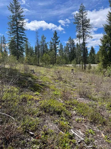 $255,000 | 2 Hwy Newport Wa 99156 Highway, Newport, WA 99156