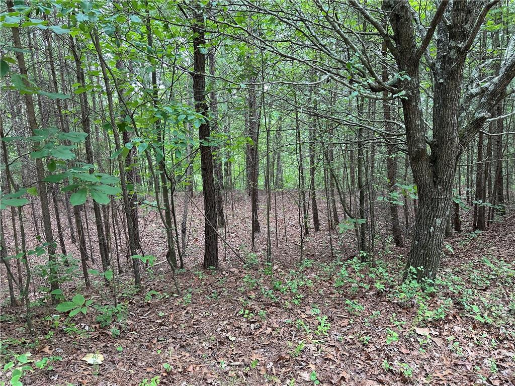 585 Galaxy Way Ranger, GA 30734 - Photo 3 of 19