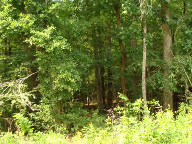 Smylie Road Gloster, MS 39638 - Photo 2 of 9 Additional View 1