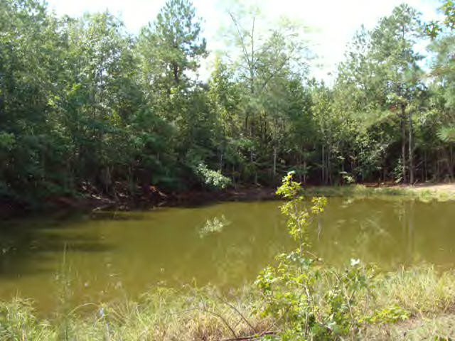 Smylie Road Gloster, MS 39638 - Photo 3 of 9 Additional View 2