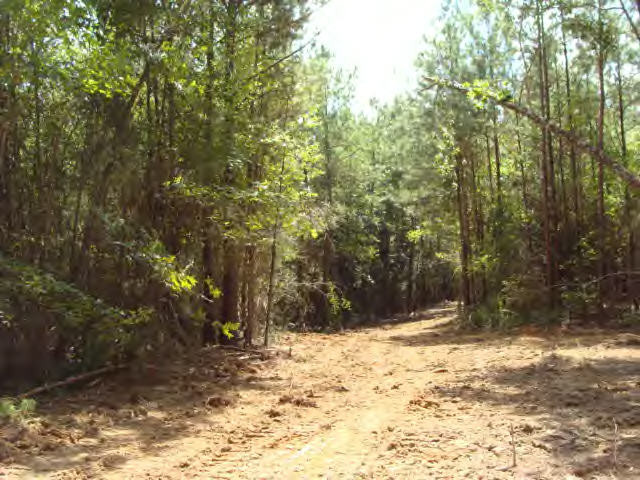 Smylie Road Gloster, MS 39638 - Photo 4 of 9 Additional View 3