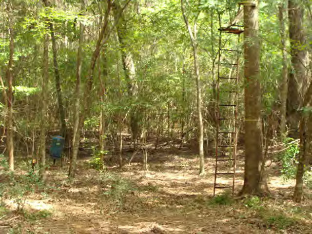 Smylie Road Gloster, MS 39638 - Photo 6 of 9 Additional View 5