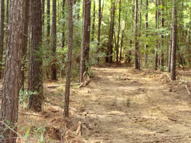 Smylie Road Gloster, MS 39638 - Photo 7 of 9 Additional View 6