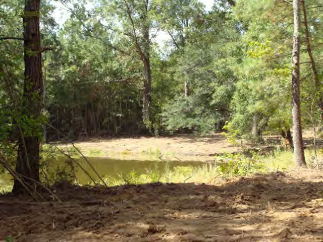 Smylie Road Gloster, MS 39638 - Photo 9 of 9 Additional View 8
