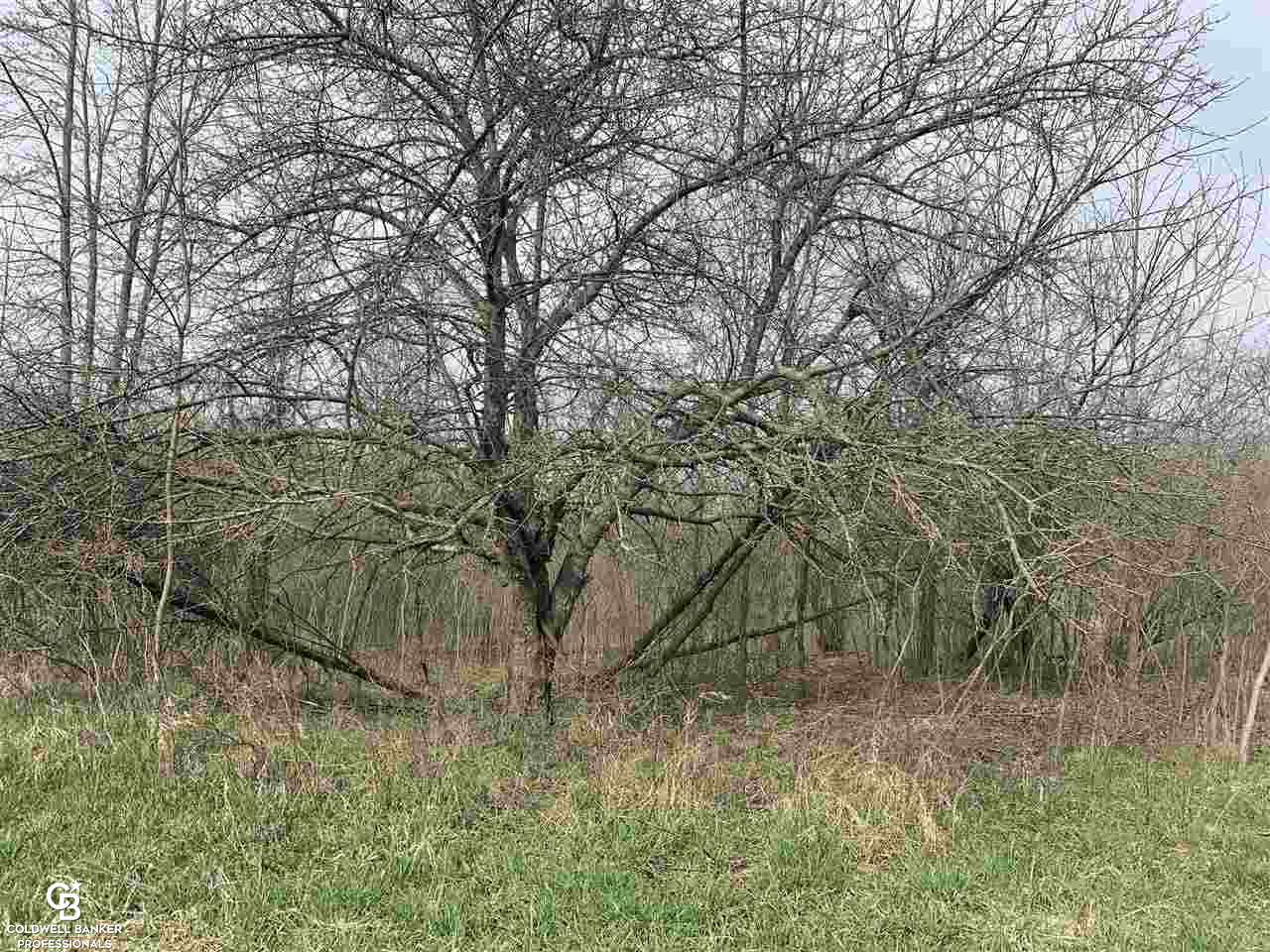 Jordan Road Yale, MI 48097 - Photo 19 of 21