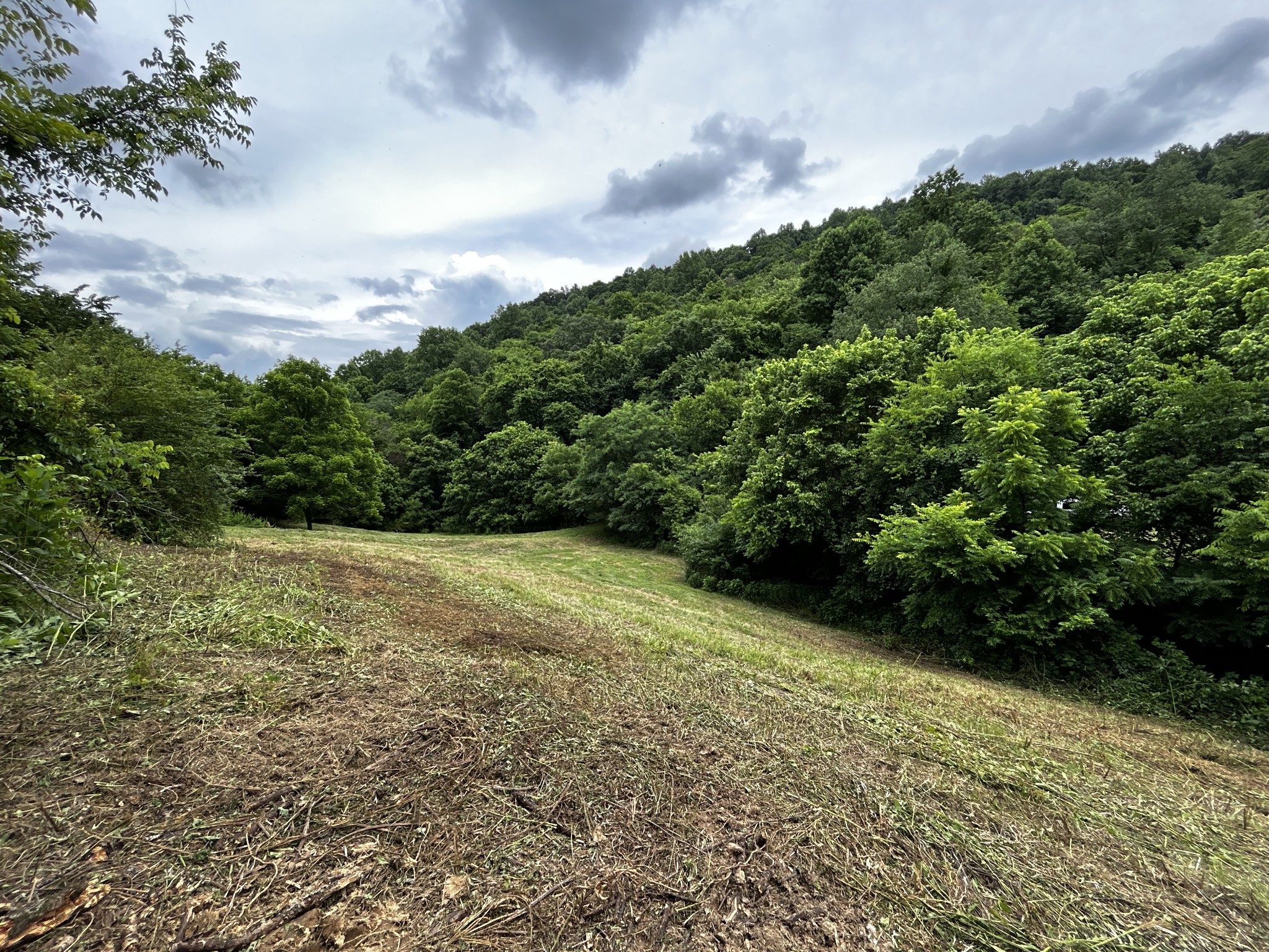 98 Hackett Valley Road Hickman, TN 38567 - Photo 18 of 41