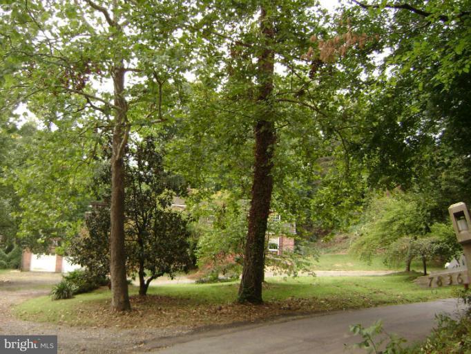 7900 Southdown Road Alexandria, VA 22308 - Photo 12 of 16 Exterior (General)