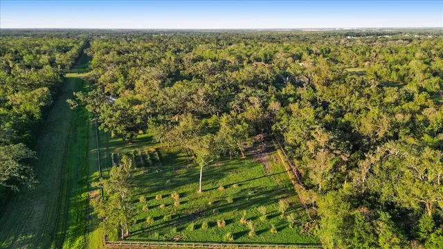 $1,175,000 | 1415 China Grove Drive, Rosharon, TX 77583