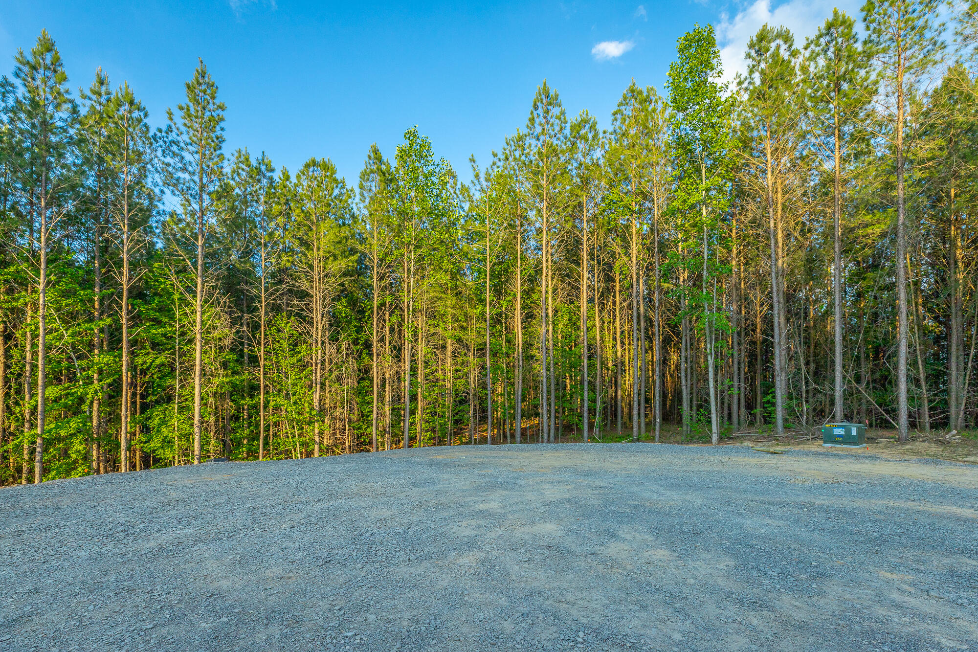 0 Back Basin Trail, Unit LOT 1244 Chattanooga, TN 37419 - Photo 42 of 119 0 Back Basin Trail - Lot 1244 HD-43