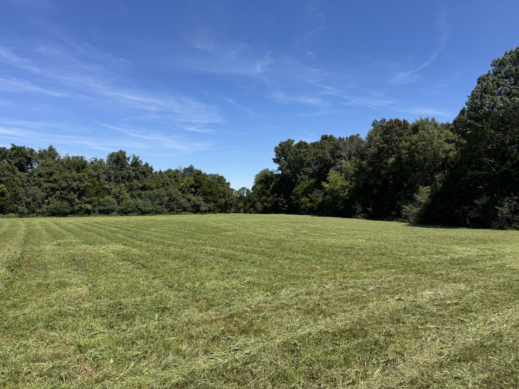 1138 Coleman Road Murfreesboro, TN 37127 - Photo 1 of 10 Gallery Image 1