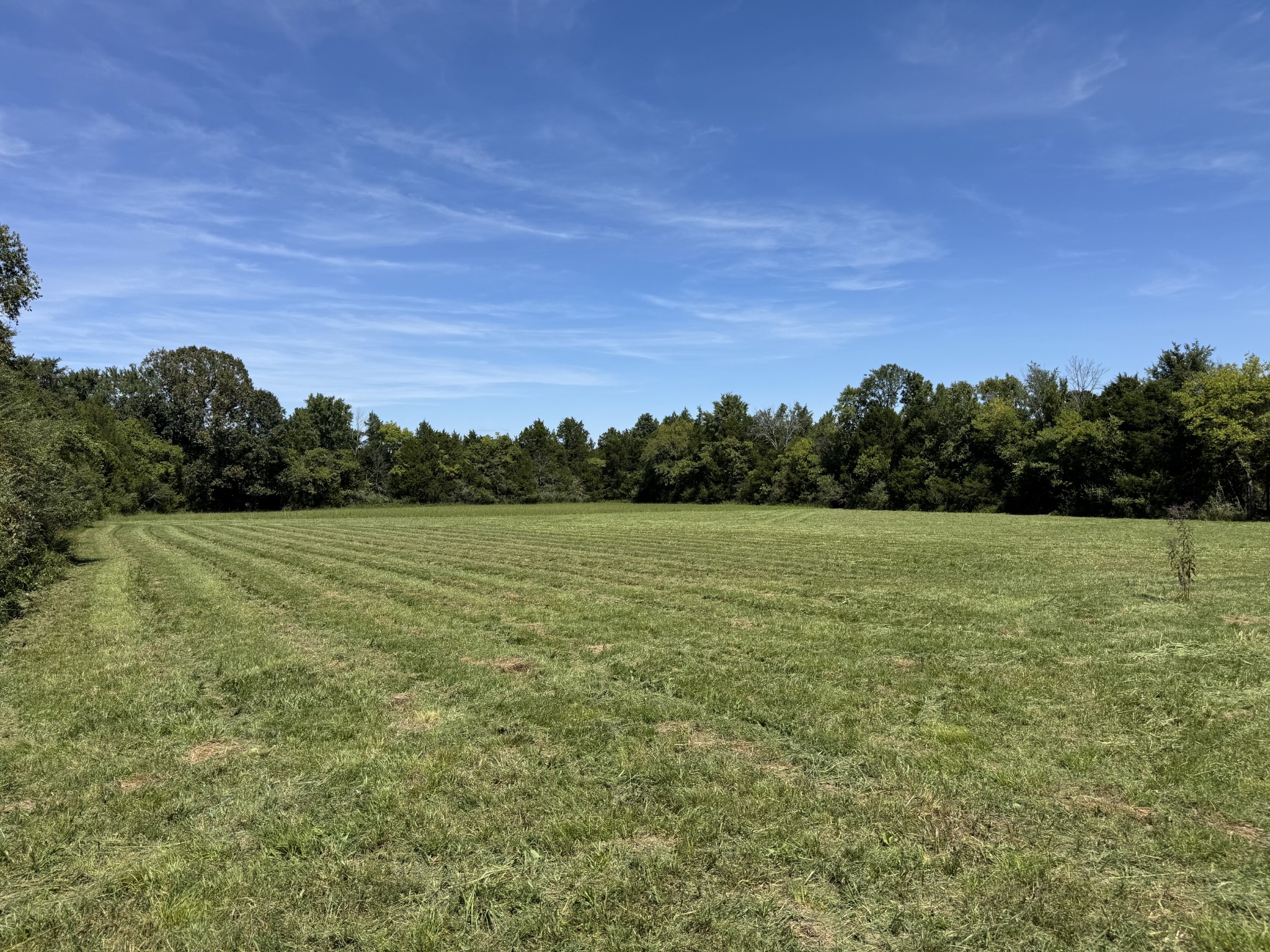 1138 Coleman Road Murfreesboro, TN 37127 - Photo 4 of 10 Gallery Image 4