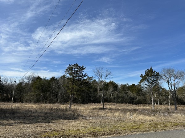 1138 Coleman Road Murfreesboro, TN 37127 - Photo 5 of 10 Gallery Image 5