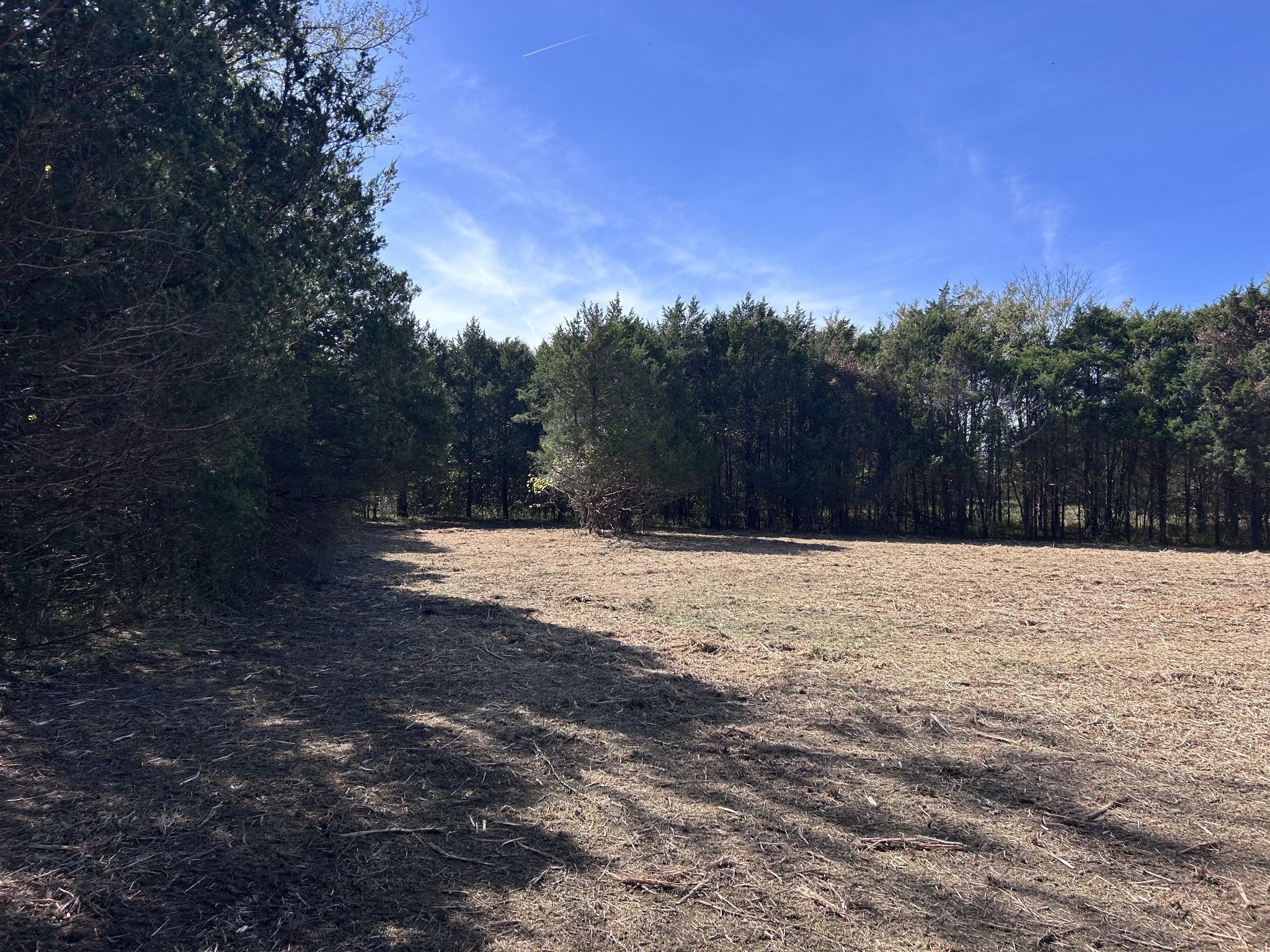 1138 Coleman Road Murfreesboro, TN 37127 - Photo 10 of 10 Gallery Image 10