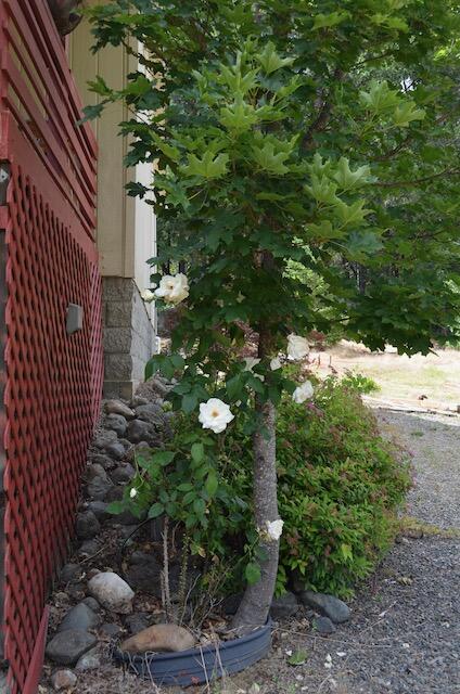 138 Draper Valley Road Selma, OR 97538 - Photo 16 of 42 19