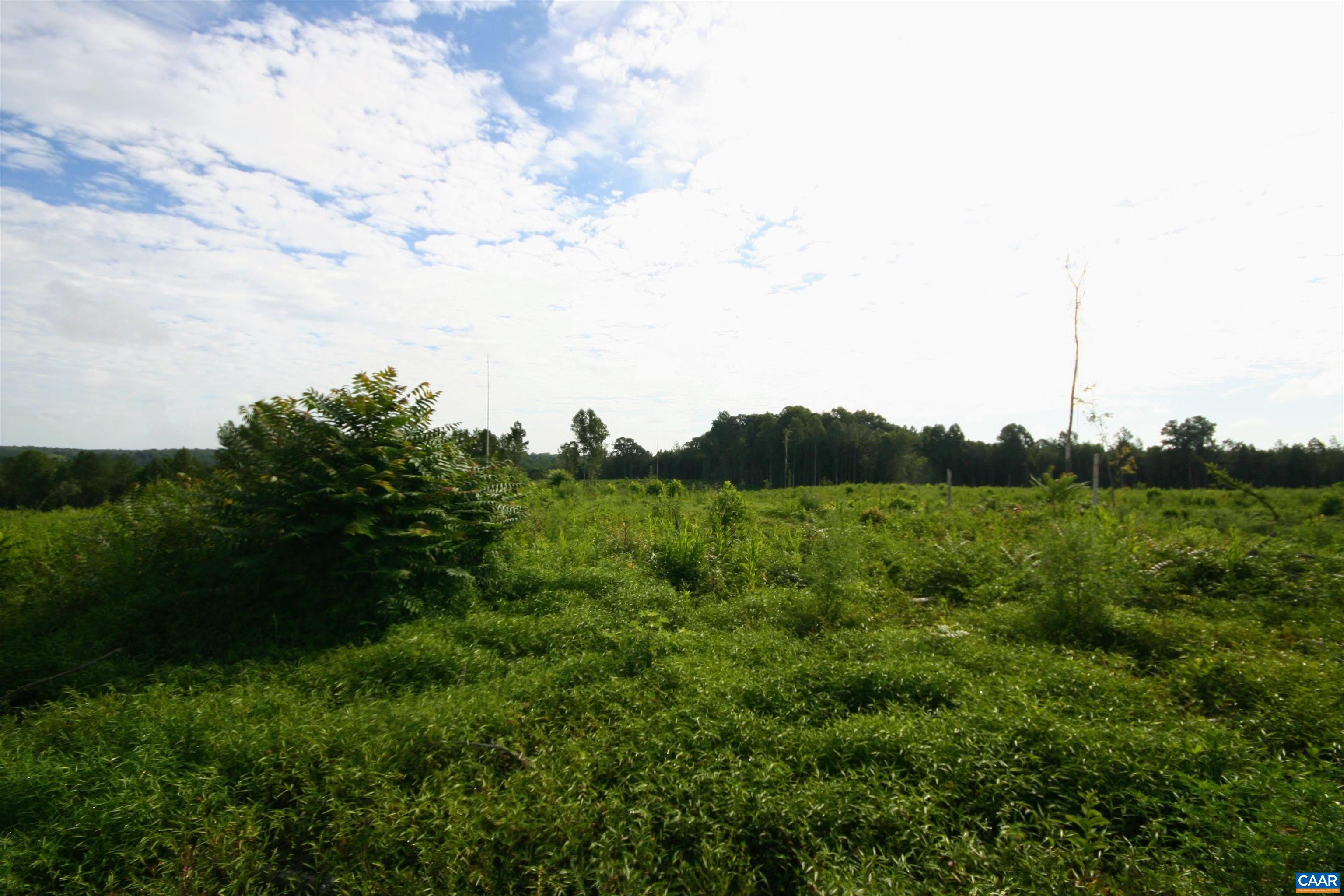 Tba Back Mountain Road Dillwyn, VA 23936 - Photo 24 of 73 a view of a lush green space with sea