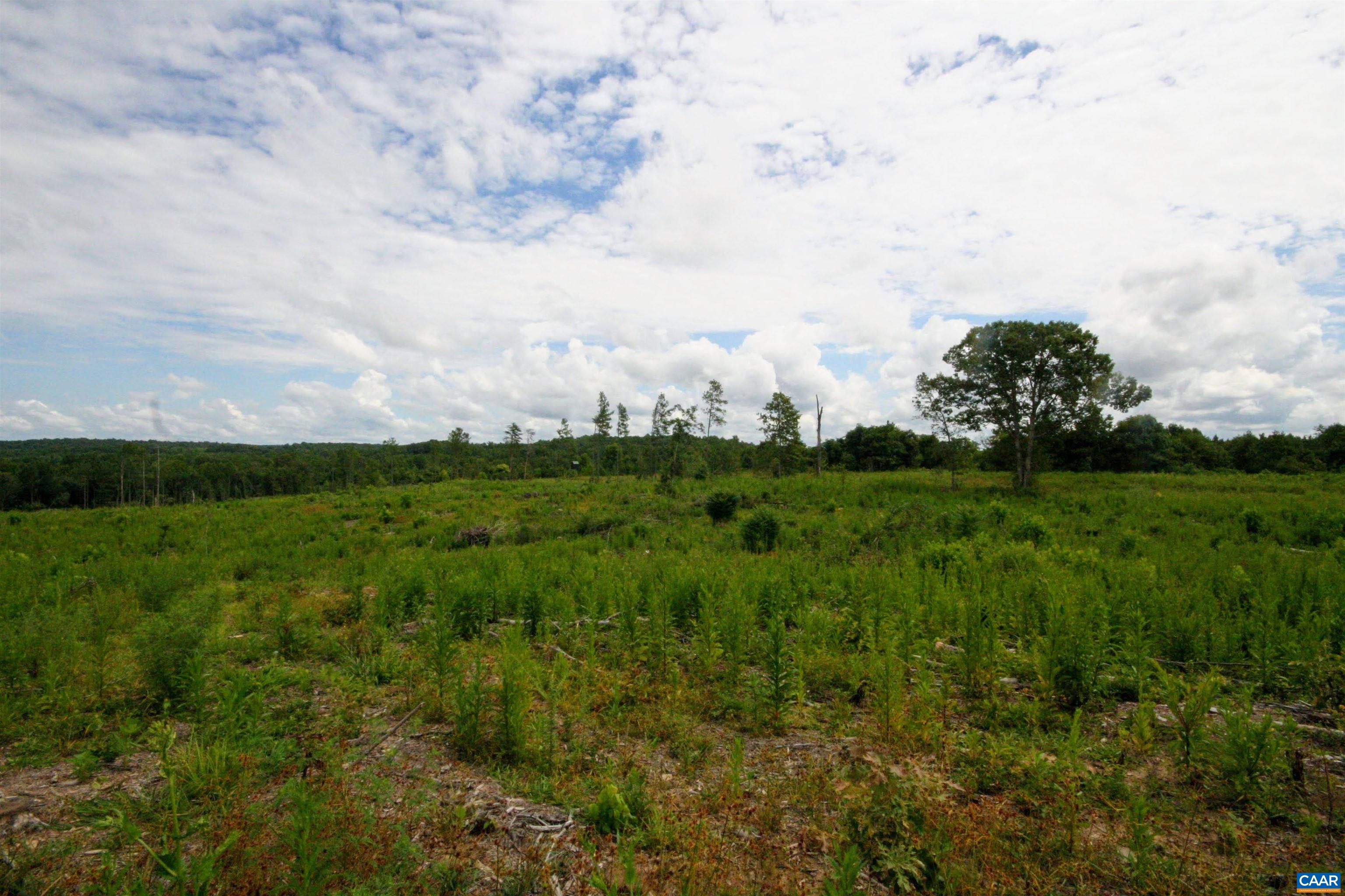 Tba Back Mountain Road Dillwyn, VA 23936 - Photo 64 of 73 a view of a green field with lots of plants and trees in the background