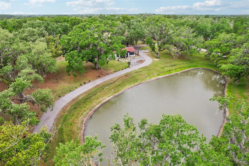 27616 Miller Road Dade City, FL 33525 - Photo 95 of 97