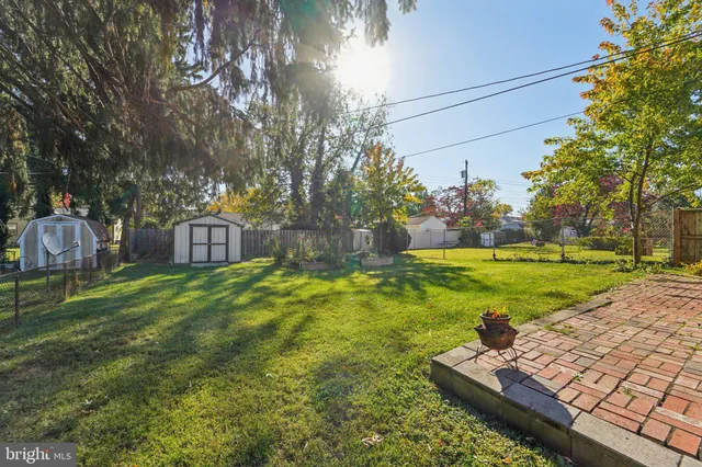 a view of a park with large trees