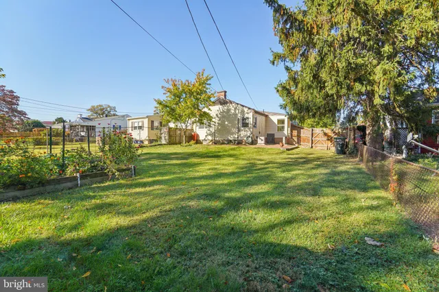 a view of a park with plants and trees
