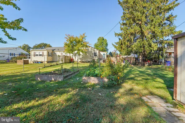 a view of a big yard with plants and large trees