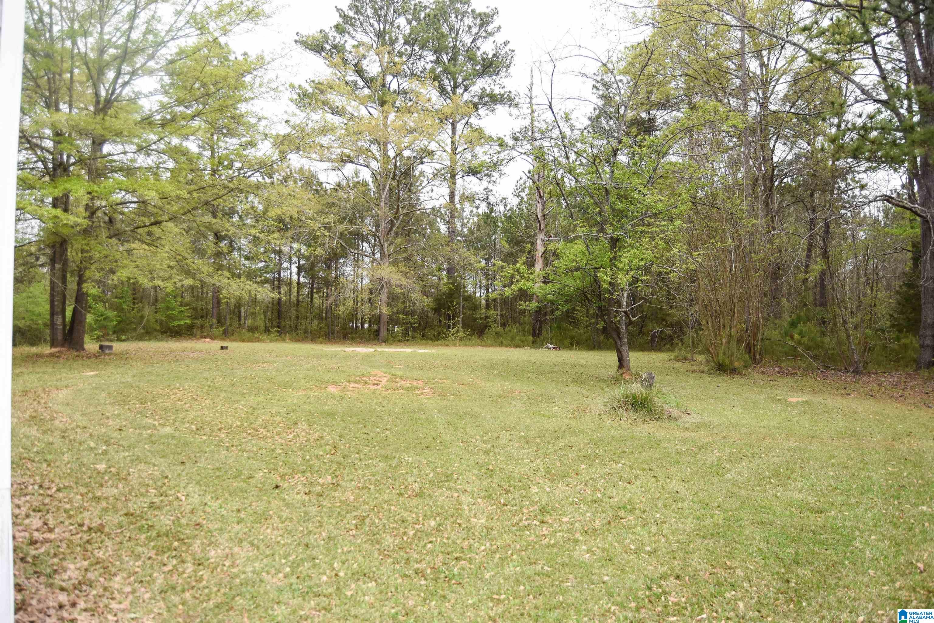 922 Brannen Road Sylacauga, AL 35150 - Photo 33 of 35