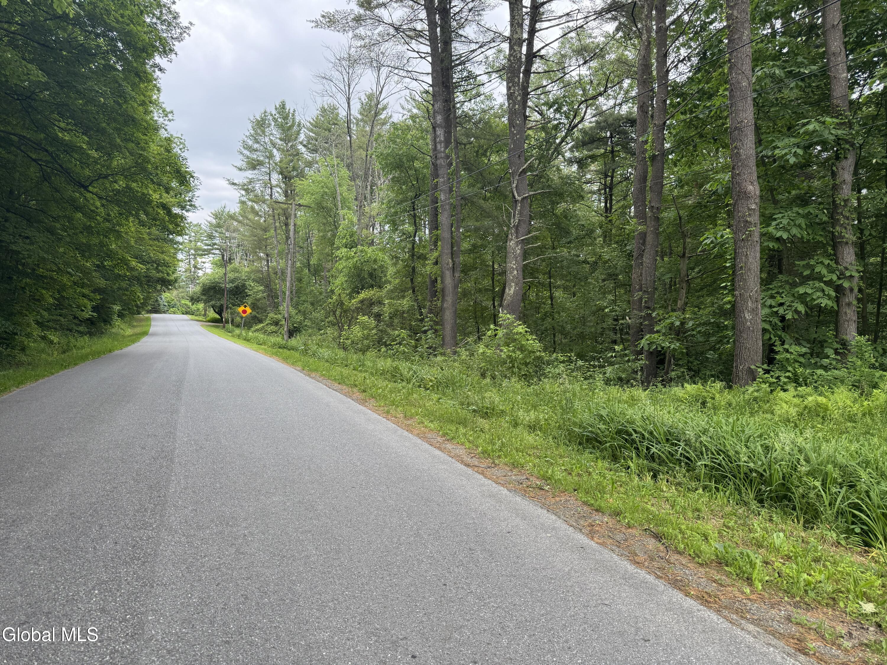 L20.4 Stevenson Road Cambridge, NY 12816 - Photo 6 of 8 05