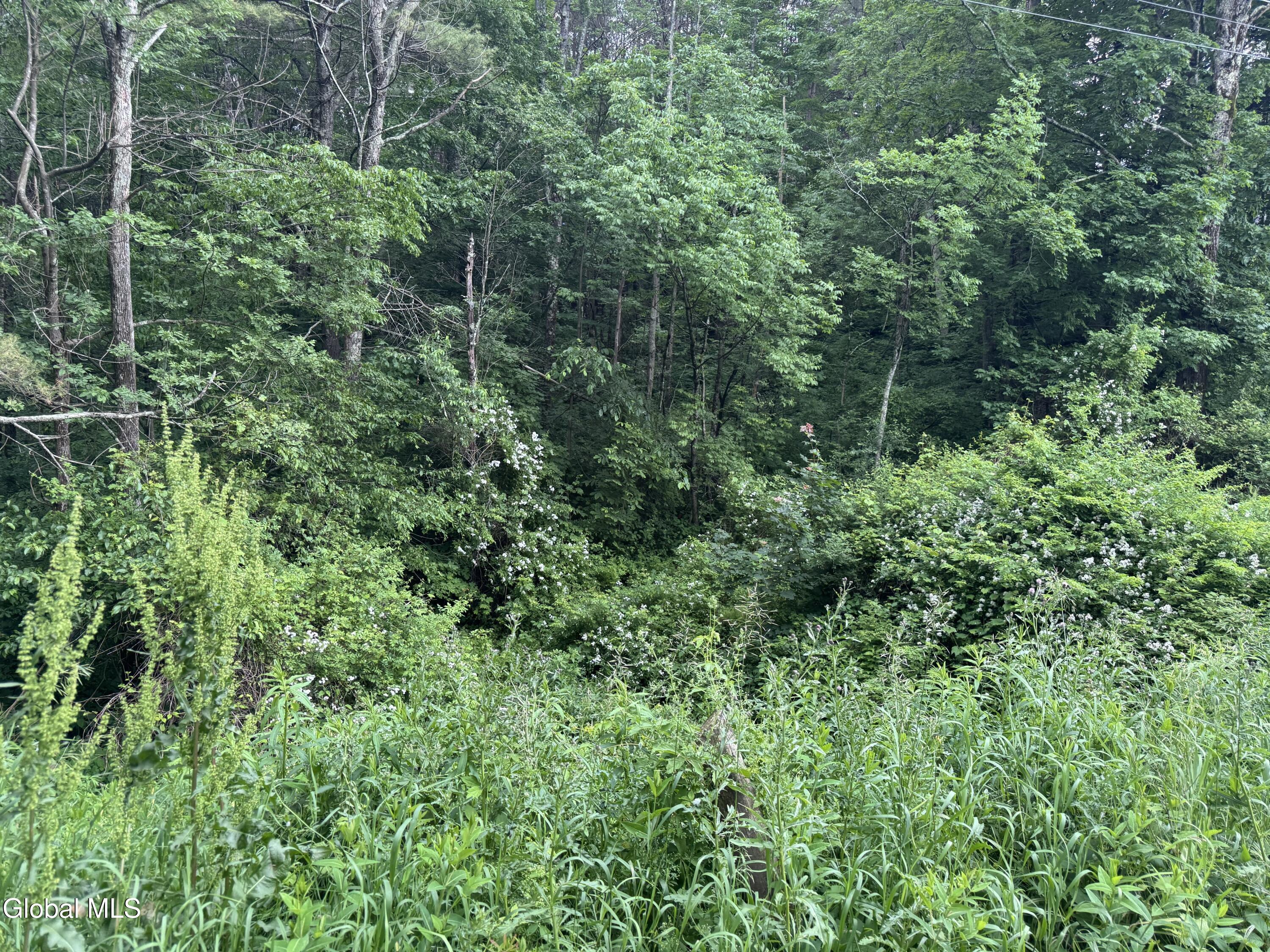 L20.4 Stevenson Road Cambridge, NY 12816 - Photo 8 of 8 07