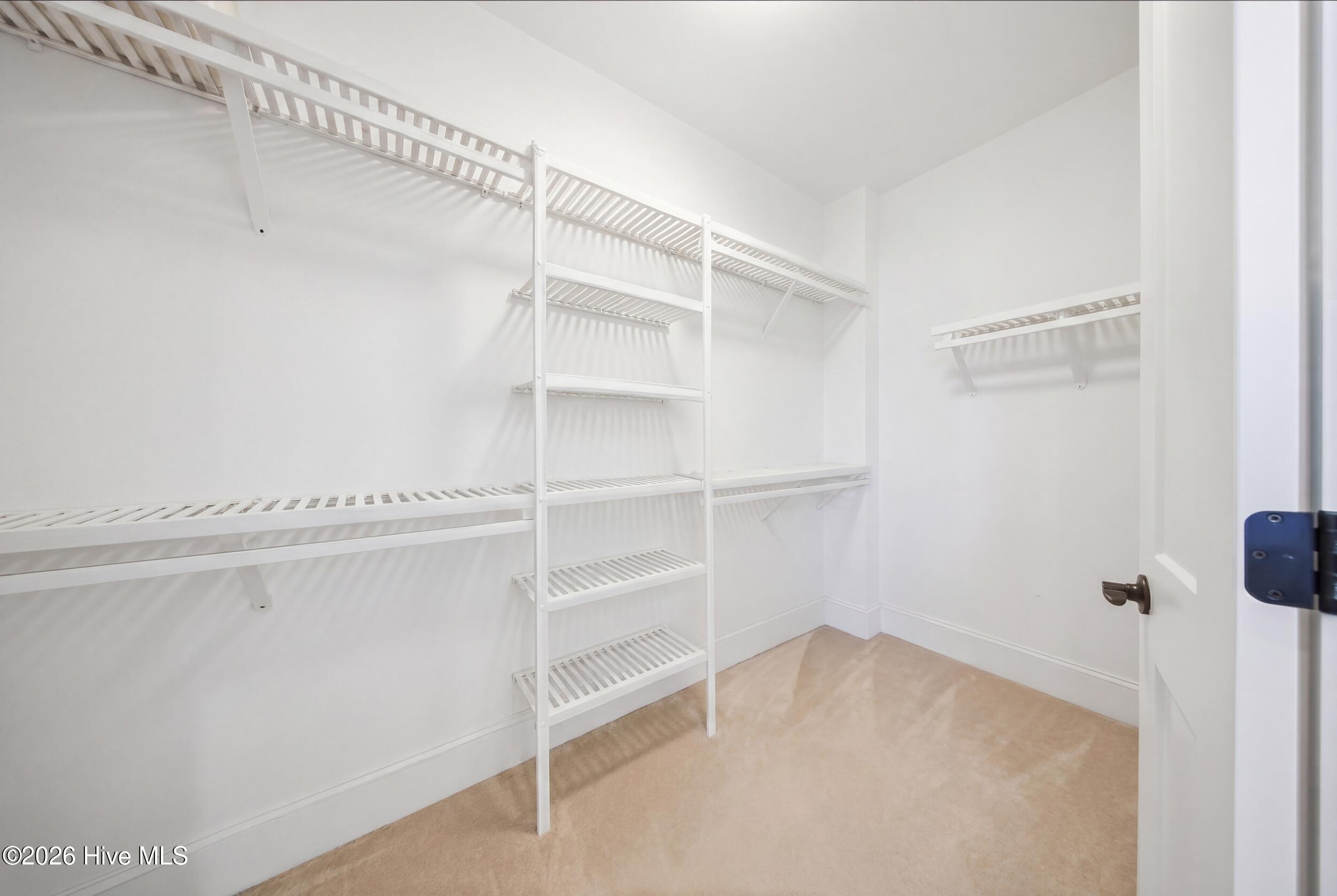 218 Summernights Way Holly Ridge, NC 28445 - Photo 46 of 101 45_primary closet