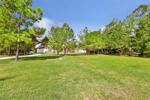 a view of yard with green space