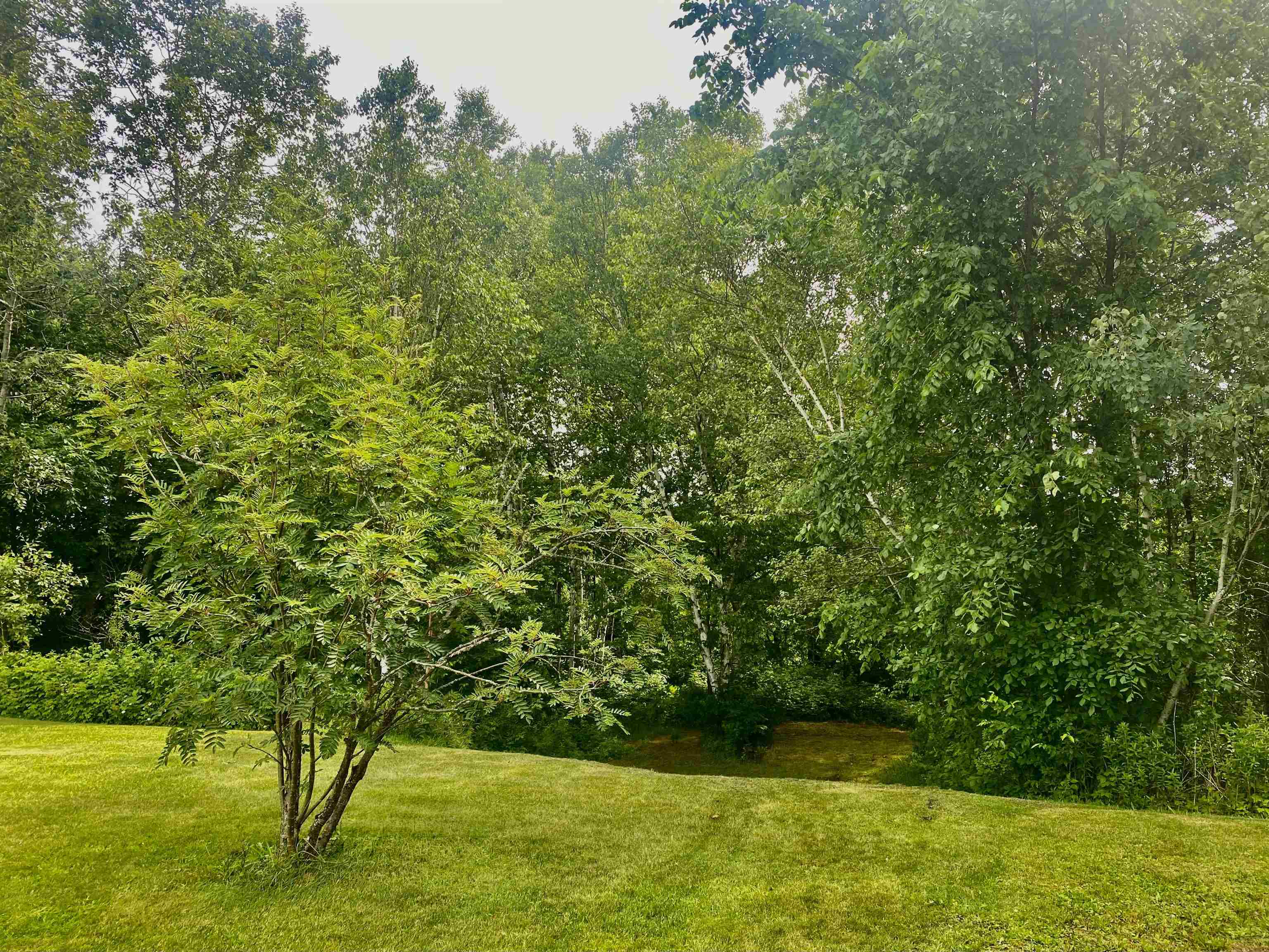 1810 Route 102 Canaan Vt 05903 Canaan, VT 05903 - Photo 19 of 22