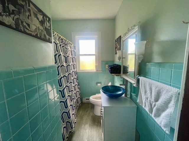 3369 East 2059th Road Wedron, IL 60557 - Photo 21 of 22 a bathroom with a sink toilet and shower