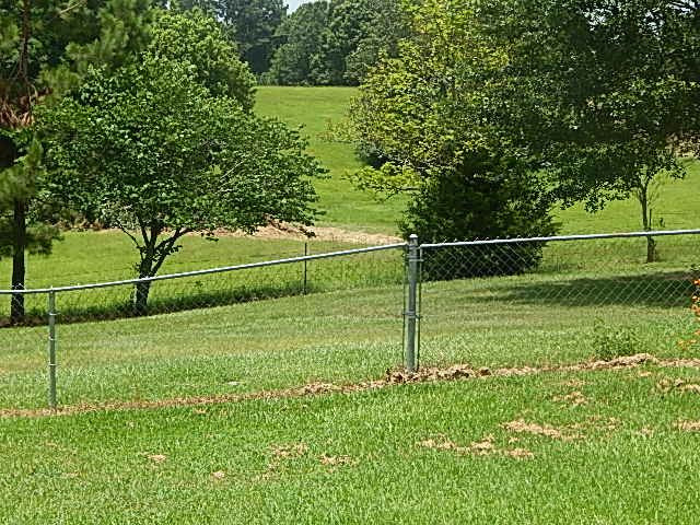 3280 Cox Ferry Road Bentonia, MS 39040 - Photo 33 of 37 Photo 35
