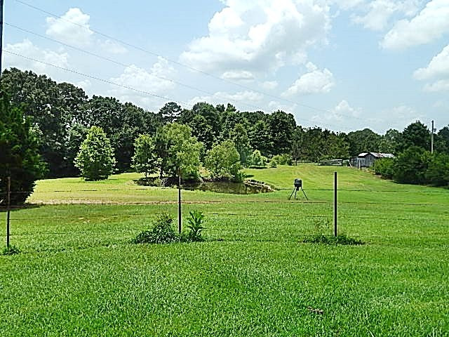 3280 Cox Ferry Road Bentonia, MS 39040 - Photo 34 of 37 Photo 36
