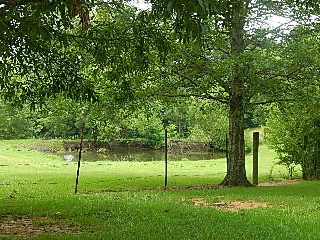 3280 Cox Ferry Road Bentonia, MS 39040 - Photo 36 of 37 Photo 38