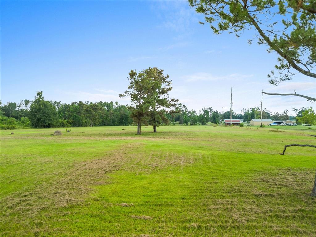 0 Fawn Trail Ragley, LA 70657 - Photo 6 of 7