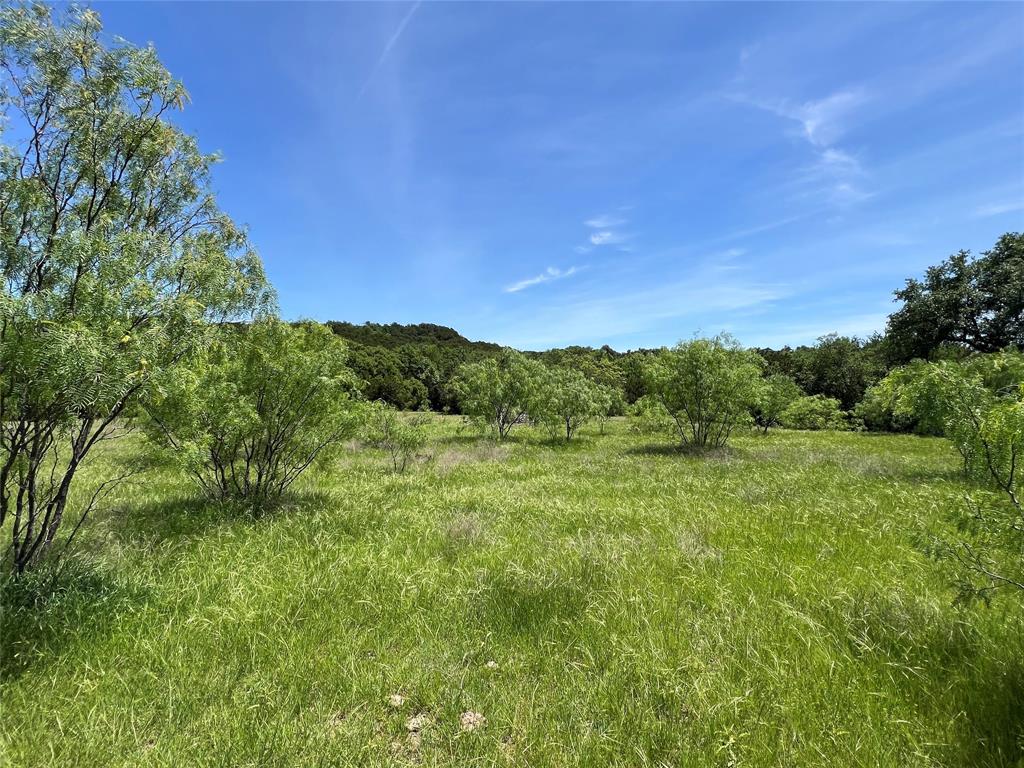 Tbd Lake Creek Road Gordon, TX 76453 - Photo 10 of 18 a view of a lush green space