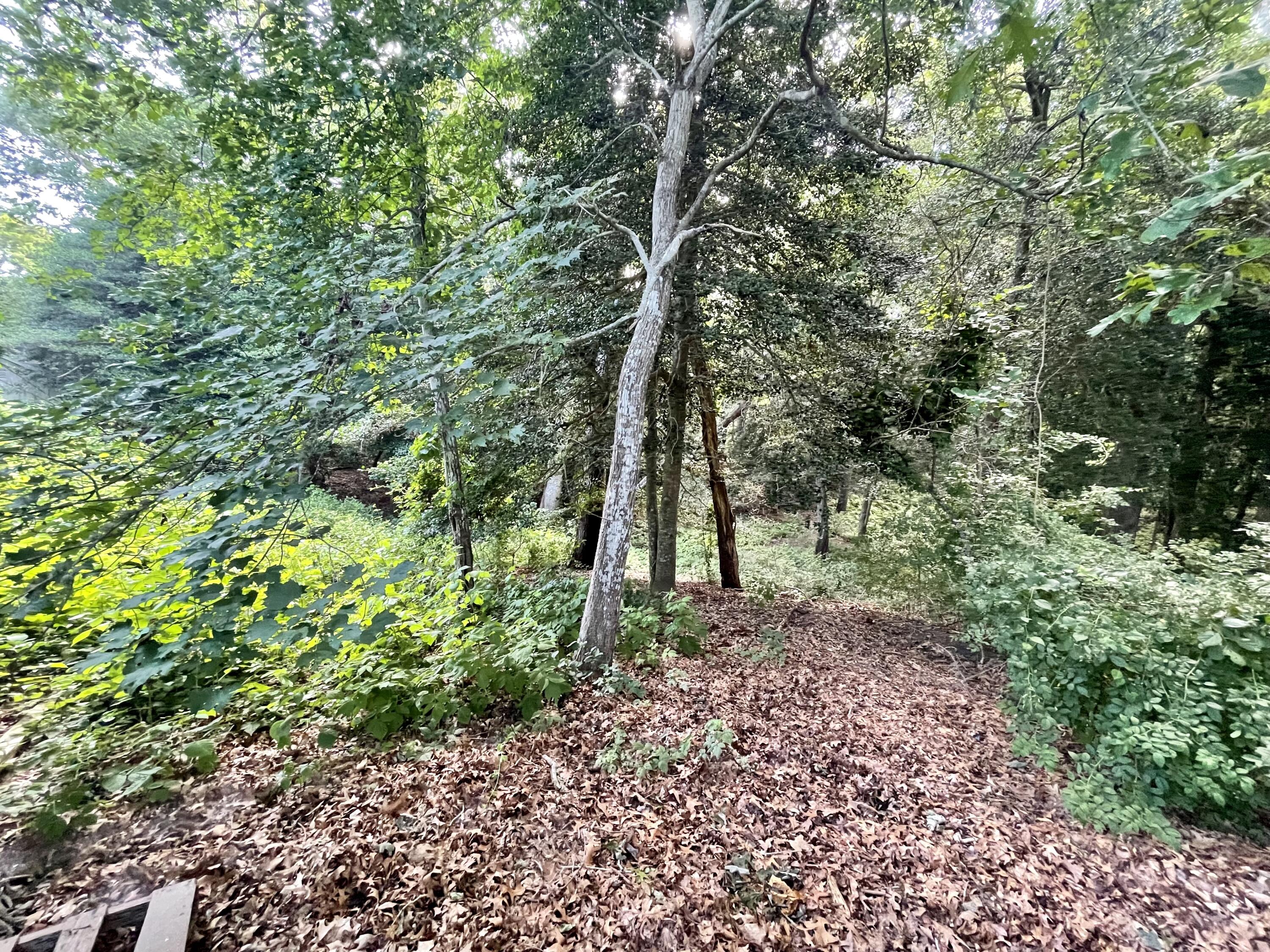 123 Old Post Road Centerville, MA 02632 - Photo 2 of 2 land 2