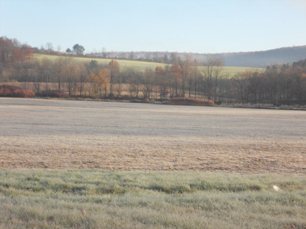 111 Ithaca Road Candor, NY 13743 - Photo 3 of 50