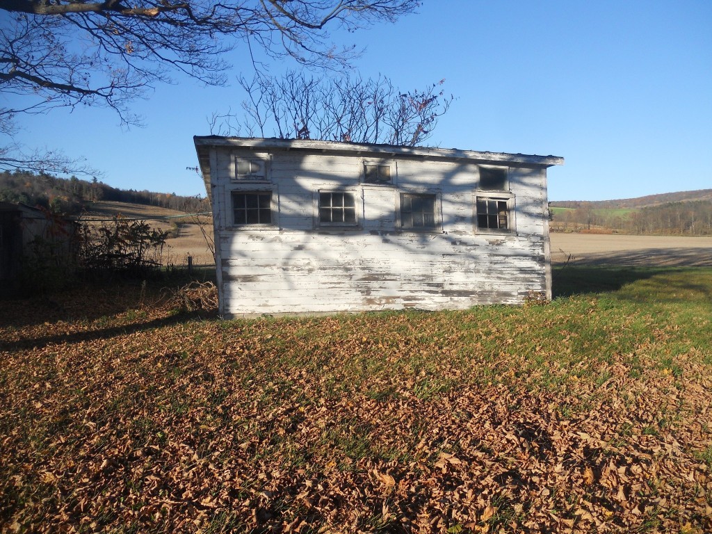 111 Ithaca Road Candor, NY 13743 - Photo 37 of 50