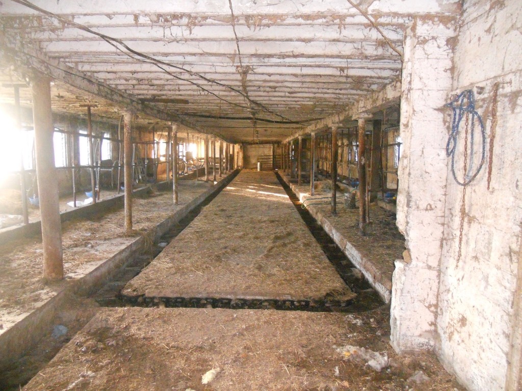 111 Ithaca Road Candor, NY 13743 - Photo 41 of 50