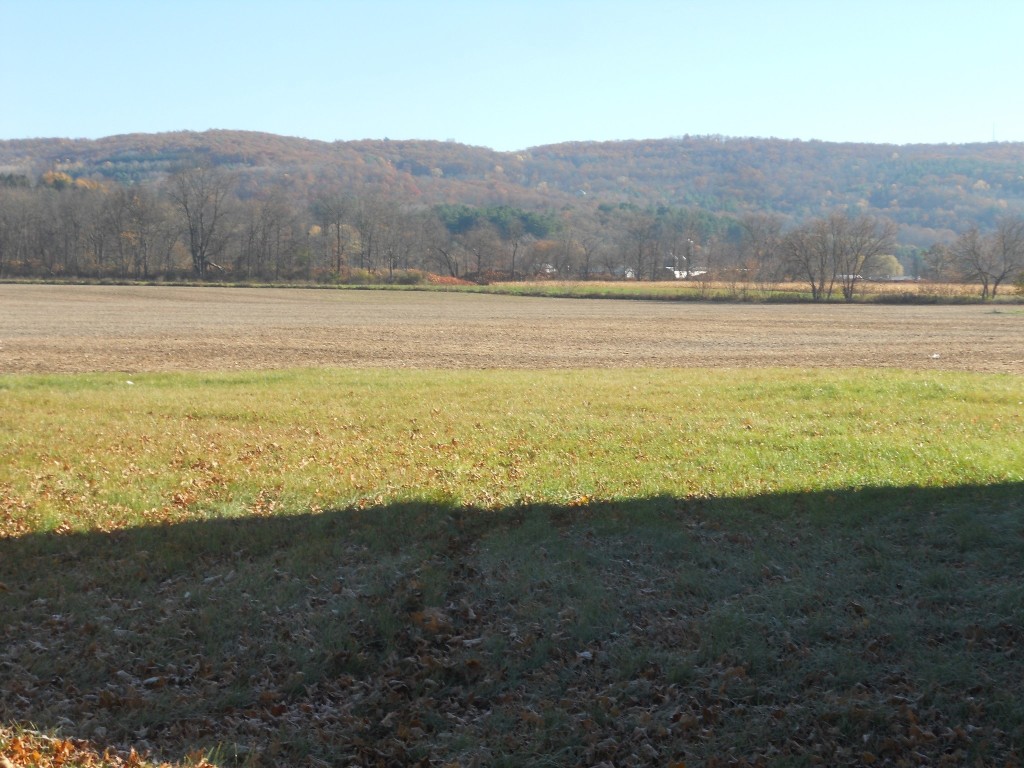 111 Ithaca Road Candor, NY 13743 - Photo 43 of 50