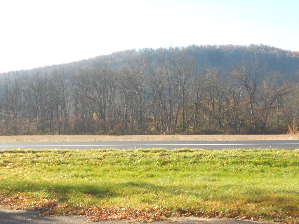 111 Ithaca Road Candor, NY 13743 - Photo 48 of 50