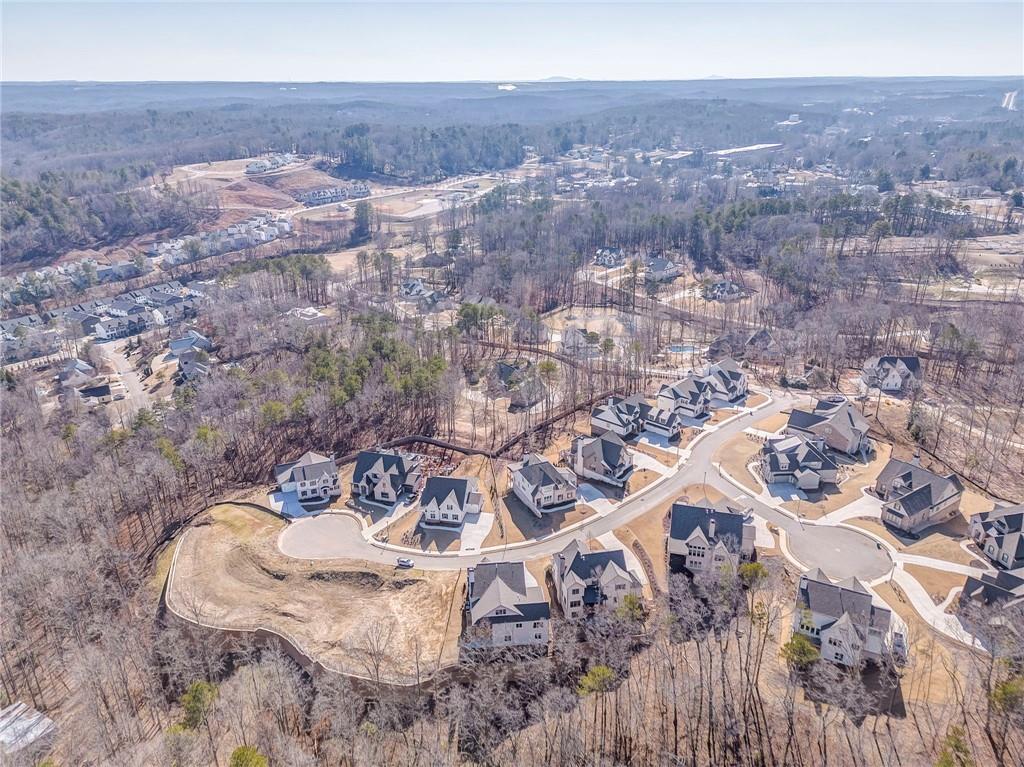323 Reese Way Ball Ground, GA 30107 - Photo 4 of 46