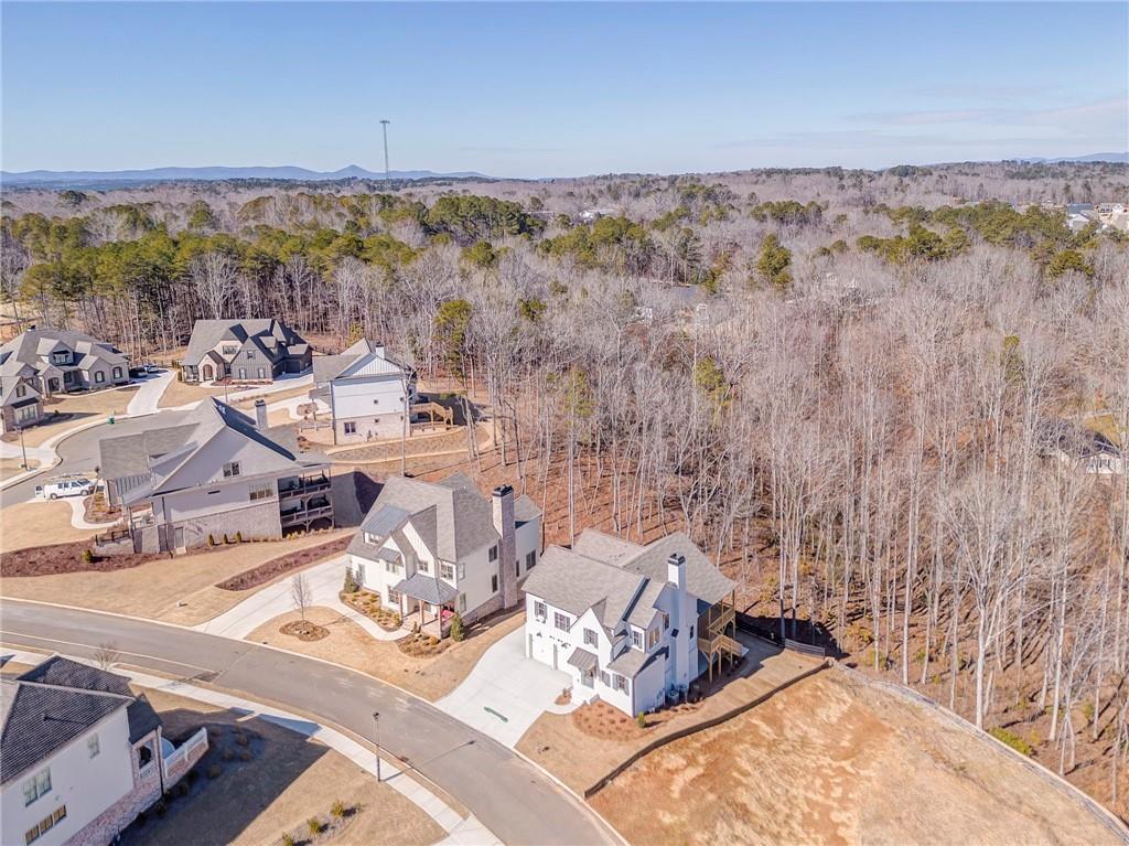 323 Reese Way Ball Ground, GA 30107 - Photo 43 of 46
