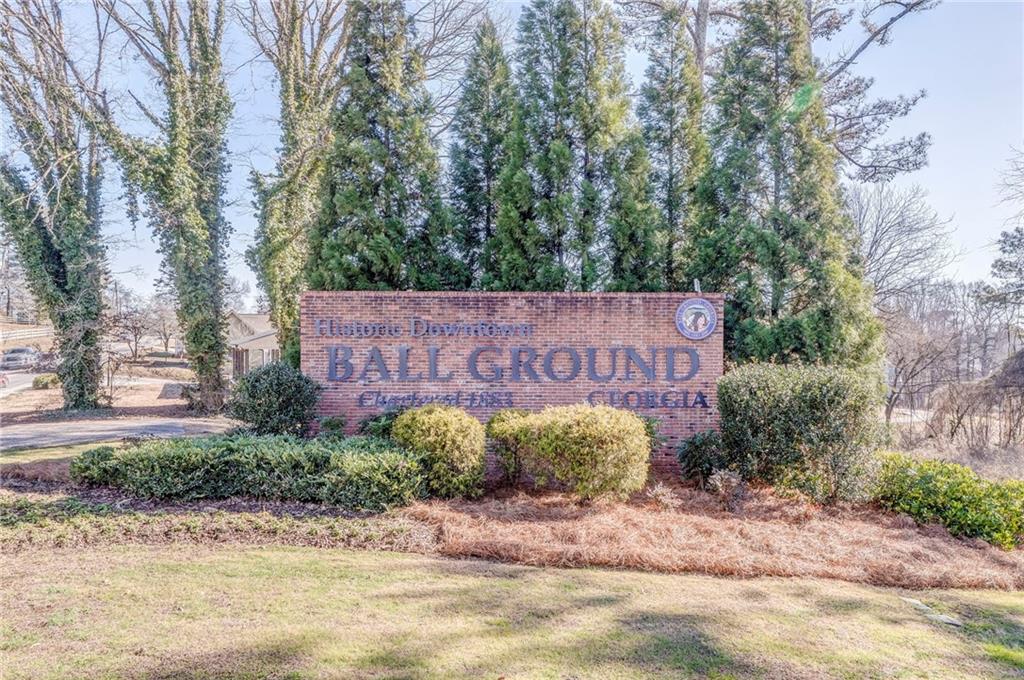 323 Reese Way Ball Ground, GA 30107 - Photo 46 of 46